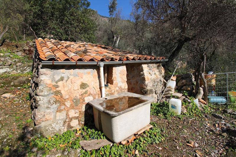 Olivar en Fornalutx — Ref. 1308