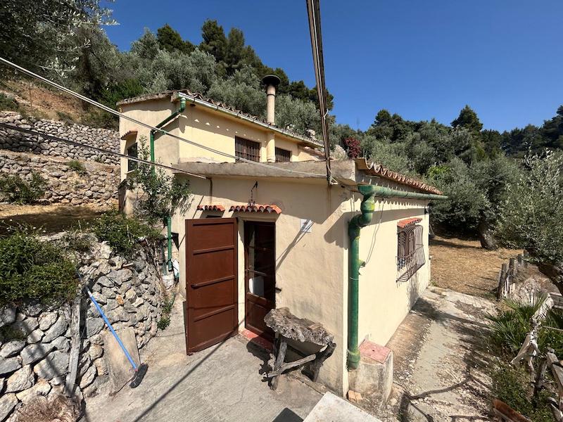 Olivar en Fornalutx — Ref. 1499