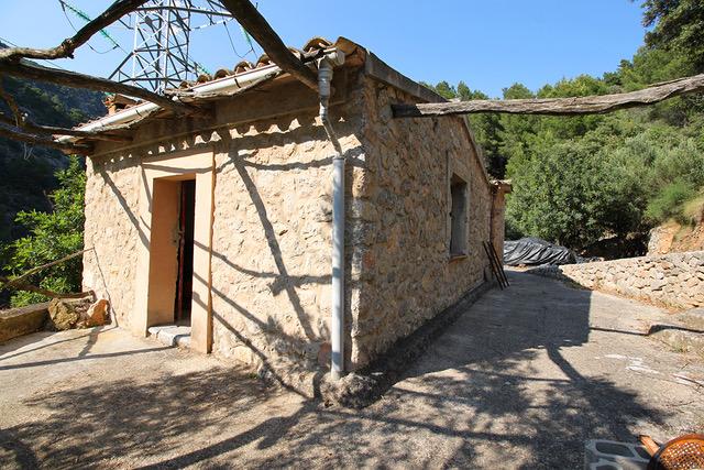 Olivar en Sóller — Ref. 659