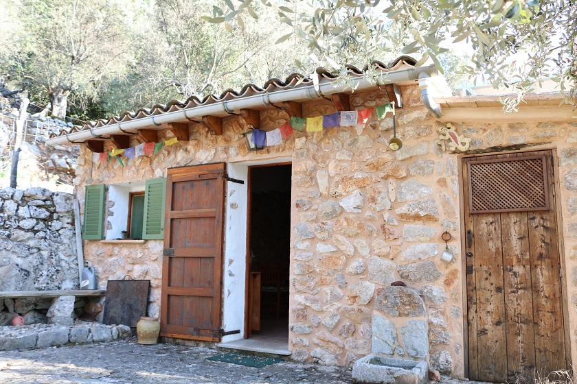 Olivar en Fornalutx — Ref. 674